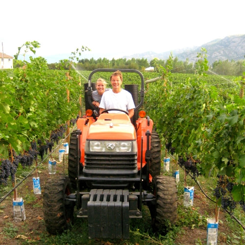 Gerry, owner of Skaha Vineyard, and his daughter riding an orange tractor through the vineyard 