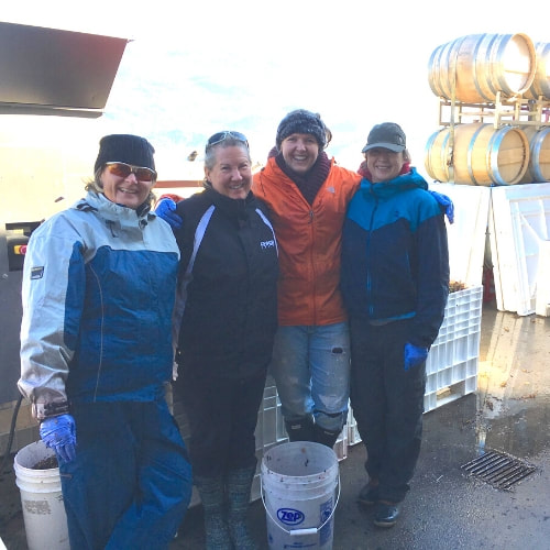 Four women dressed in winter clothes, during crush at Skaha Vineyard Winery 