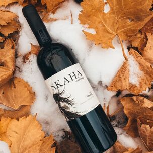 Bottle of red wine in snow, surrounded by orange fall leaves