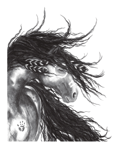 Skaha Vineyard Horse Logo Sketch 